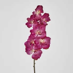 Real Touch phalaenopsis Orchid 78cm Purple by Florabelle Living, a Plants for sale on Style Sourcebook