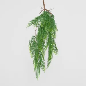 Hanging Pitch Pine Bush by JMC FLORALS, a Plants for sale on Style Sourcebook