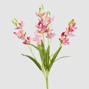 Cymbidium Spray With Leaves Dark Pink by JMC FLORALS, a Plants for sale on Style Sourcebook