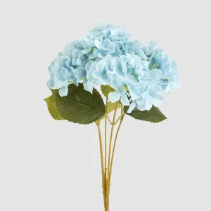 Hydrangea Buch With 5 Heads Blue by JMC FLORALS, a Plants for sale on Style Sourcebook