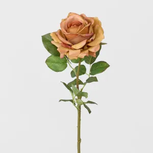 Real Touch Rose Stem Light Brown by JMC FLORALS, a Plants for sale on Style Sourcebook