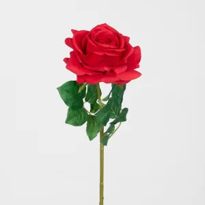 Real Touch Rose Stem Red by JMC FLORALS, a Plants for sale on Style Sourcebook