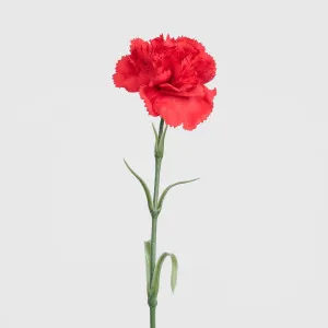 Real Touch Carnation Stem Red by JMC FLORALS, a Plants for sale on Style Sourcebook