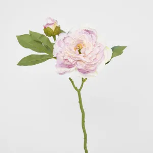 Peony Stem With Bud 48cm Light Pink by JMC FLORALS, a Plants for sale on Style Sourcebook