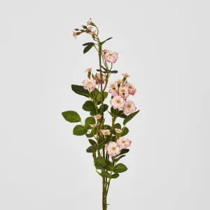 Burma Rose Spray Pink by JMC FLORALS, a Plants for sale on Style Sourcebook