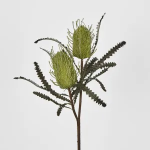 Banksia Double Spray Green by JMC FLORALS, a Plants for sale on Style Sourcebook