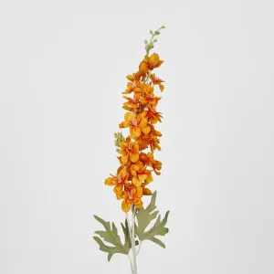 Delphinium 85cm Orange by JMC FLORALS, a Plants for sale on Style Sourcebook