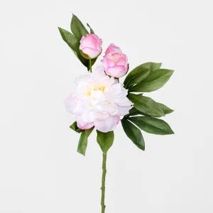 Peony With Two Buds Stem Pink by JMC FLORALS, a Plants for sale on Style Sourcebook