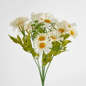 Daisy Bush 32cm White by JMC FLORALS, a Plants for sale on Style Sourcebook