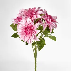 Dahlia Bush x 5 Light Pink by JMC FLORALS, a Plants for sale on Style Sourcebook