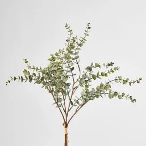 Eucalyptus Bundle 4pce by JMC FLORALS, a Plants for sale on Style Sourcebook