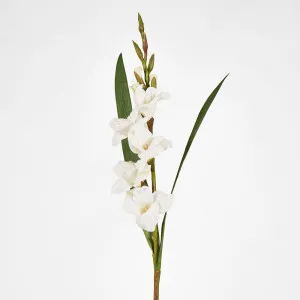 Gladious Spray 84cm White by JMC FLORALS, a Plants for sale on Style Sourcebook
