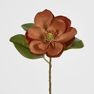 Magnolia Stem 74cm Brown by JMC FLORALS, a Plants for sale on Style Sourcebook