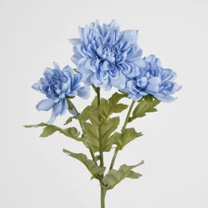 Chrysanthemum Spray x 3 Blue by JMC FLORALS, a Plants for sale on Style Sourcebook