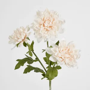 Chrysanthemum Spray x 3 Blush Pink by JMC FLORALS, a Plants for sale on Style Sourcebook