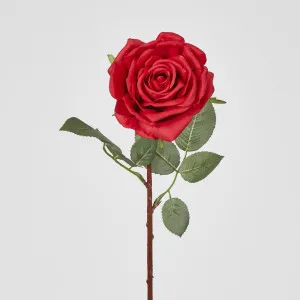 Bella Rose Real Touch 68cm Red by JMC FLORALS, a Plants for sale on Style Sourcebook