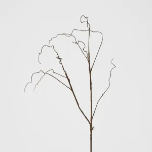 Curly Twig Brown by JMC FLORALS, a Plants for sale on Style Sourcebook