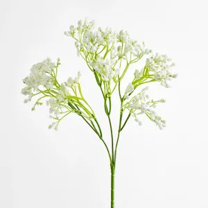 Baby's Breath Spray White by JMC FLORALS, a Plants for sale on Style Sourcebook