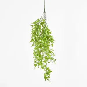 Hanging Leaf Bush Green by JMC FLORALS, a Plants for sale on Style Sourcebook