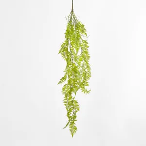 Hanging Fern Green by JMC FLORALS, a Plants for sale on Style Sourcebook