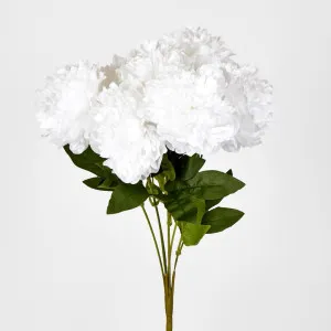 Peony Bush x 7 White by JMC FLORALS, a Plants for sale on Style Sourcebook