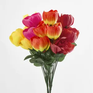 Peony Bush Asstd B Box of 60 by JMC FLORALS, a Plants for sale on Style Sourcebook