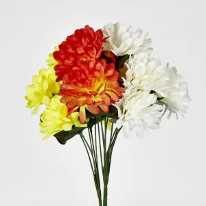 Chrysanthemum Bush 3 Colours Box of 60 by JMC FLORALS, a Plants for sale on Style Sourcebook