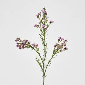 Wax Flower Lilac 64cm by JMC FLORALS, a Plants for sale on Style Sourcebook