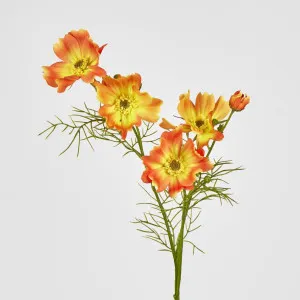 Cosmos Spray 64cm Orange by JMC FLORALS, a Plants for sale on Style Sourcebook