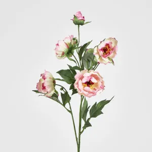 Peony Spray 64cm Pink by JMC FLORALS, a Plants for sale on Style Sourcebook