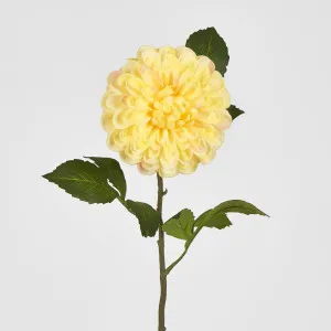 Single Ball Dahlia 74cm Yellow by JMC FLORALS, a Plants for sale on Style Sourcebook