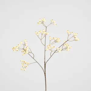 Berry Spray White by Florabelle Living, a Plants for sale on Style Sourcebook