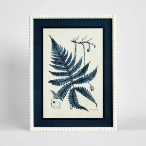 Botanical Blueprint A Wall Art 45x60cm by Florabelle Living, a Prints for sale on Style Sourcebook