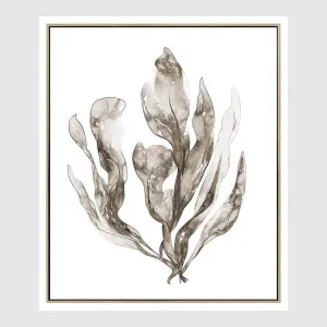 Coastal Botanical B Wall Art 52.5 x 62.5cm by Florabelle Living, a Prints for sale on Style Sourcebook