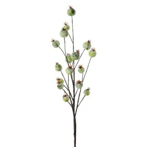 Gumnut Spray 70cm by Florabelle Living, a Plants for sale on Style Sourcebook