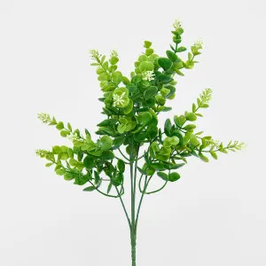 Flowering Eucalyptus Bush by JMC FLORALS, a Plants for sale on Style Sourcebook