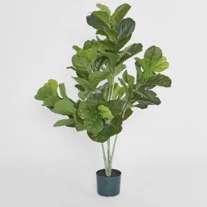 Potted Fiddle Leaf Plant 120cm by JMC FLORALS, a Christmas for sale on Style Sourcebook