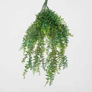 Hanging Bakers Fern by JMC FLORALS, a Plants for sale on Style Sourcebook