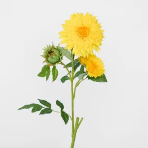 Sunflower Spray With 3 Flowers Yellow by JMC FLORALS, a Plants for sale on Style Sourcebook