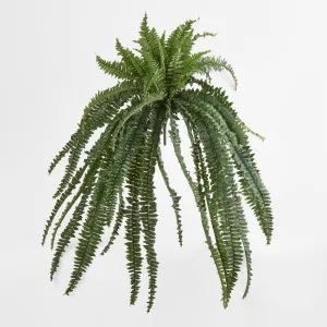 Huge Green Boston Fern Bush 52 leaves by JMC FLORALS, a Plants for sale on Style Sourcebook