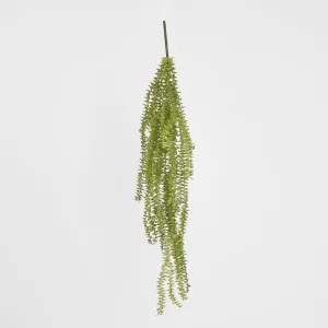 Hanging Huperzia Vine by JMC FLORALS, a Plants for sale on Style Sourcebook