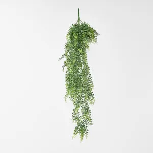 Baker Fern Vine Hanging 67cm Green by JMC FLORALS, a Plants for sale on Style Sourcebook
