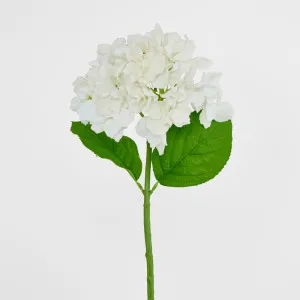 Hydrangea Stem Soft Touch 50cm White by Florabelle Living, a Plants for sale on Style Sourcebook