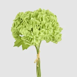 Mini Hydrangea Posy Green by Florabelle Living, a Plants for sale on Style Sourcebook