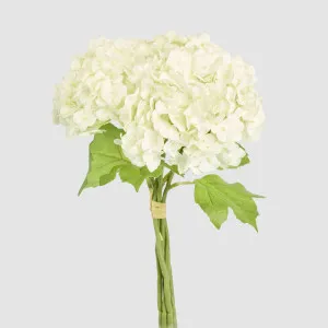 Mini Hydrangea Posy White by Florabelle Living, a Plants for sale on Style Sourcebook