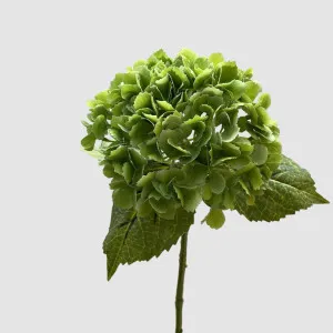 Hydrangea Real Touch Green 63cm by Florabelle Living, a Plants for sale on Style Sourcebook