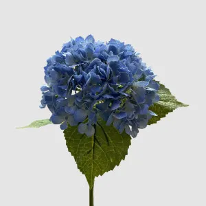 Hydrangea Real Touch Blue 63cm by Florabelle Living, a Plants for sale on Style Sourcebook