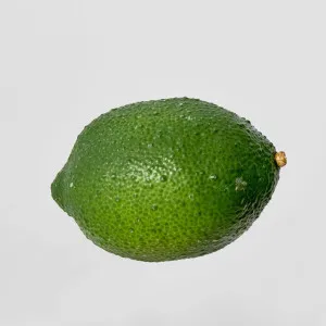Artificial Lime by JMC FLORALS, a Statues & Ornaments for sale on Style Sourcebook