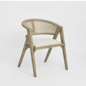 Colorado Dining Chair by OneWorld Collection, a Dining Chairs for sale on Style Sourcebook