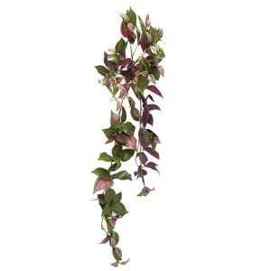 Wandering Jew Hanging Bush 94cm Purple & Green by Florabelle Living, a Plants for sale on Style Sourcebook